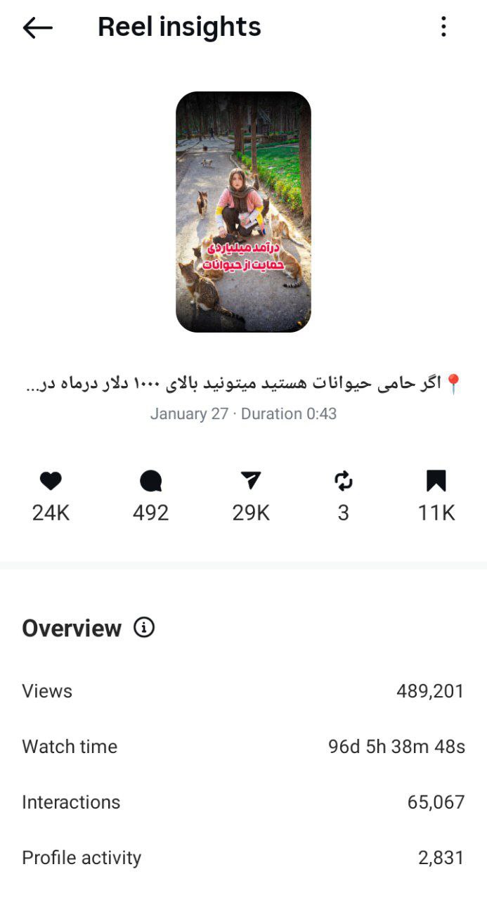 MobixCube Instagram Reel Insight second example